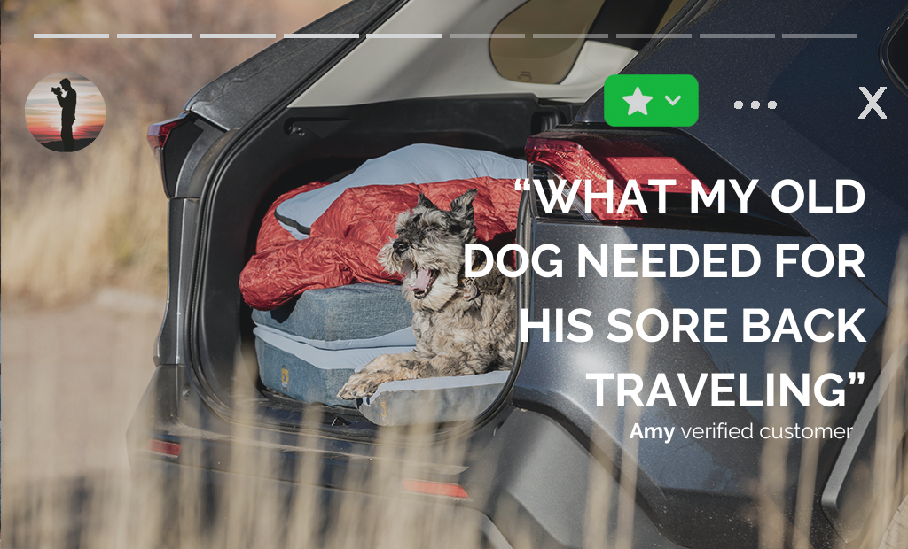 HEST Dog Bed by Rivian