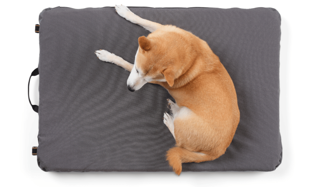 HEST Dog Bed by Rivian