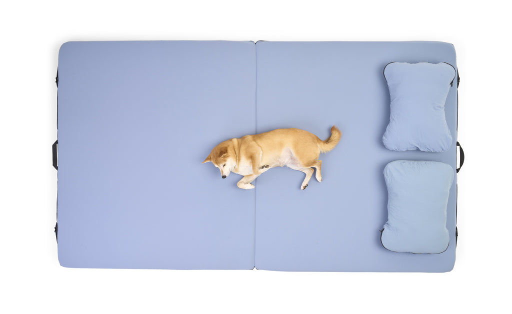 Roof Top Tent Dually